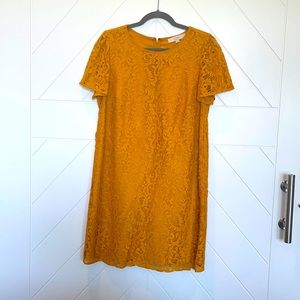 Loft 12 Petite mustard yellow lace overlay dress
